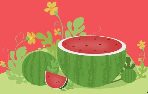 刷手机吃瓜,刷手机吃瓜的潮流现象解析 第2张 刷手机吃瓜,刷手机吃瓜的潮流现象解析 第2张